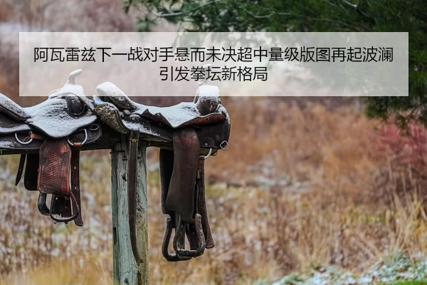 阿瓦雷兹下一战对手悬而未决超中量级版图再起波澜引发拳坛新格局